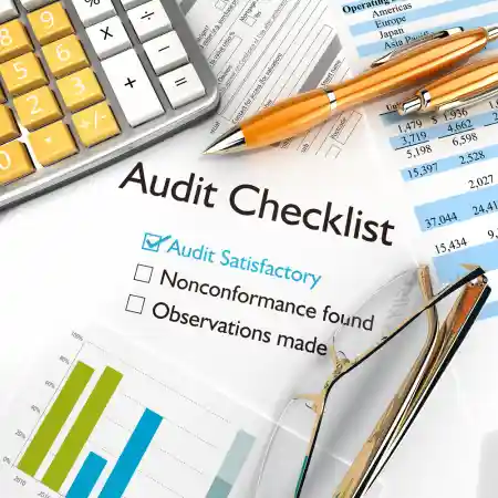IRS Audit Support